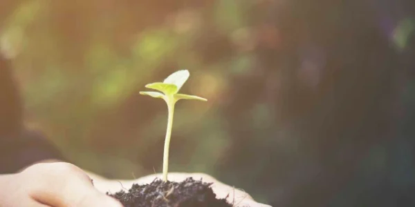 Projeto Recicle Mais, Pague Menos